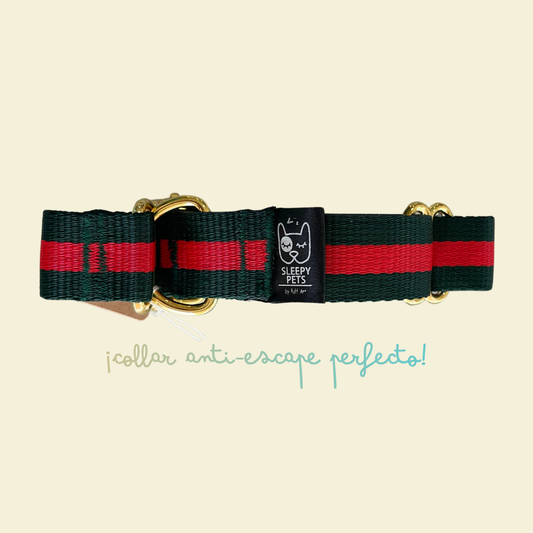 Collar nylon gucci verde-rojo herrajes dorados ancho 2cm