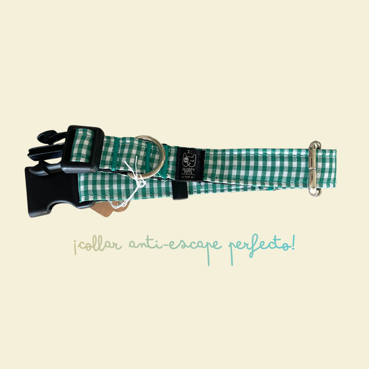 Collar vichy verde ancho 2cm