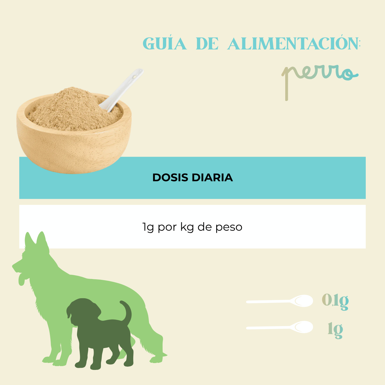 Probiótico natural INMUNE DIGESTIVE 150g