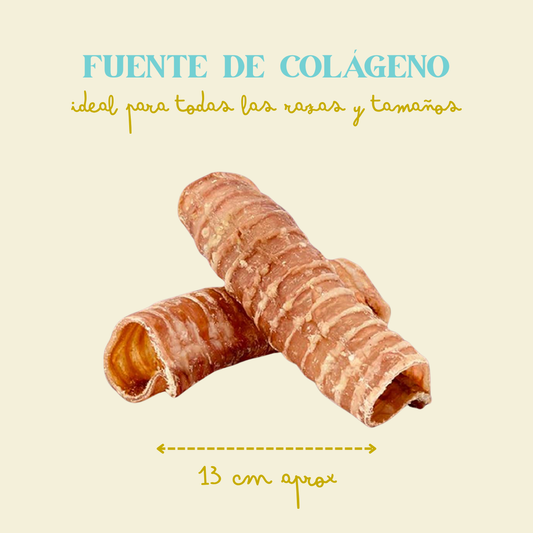 Tráqueas de vaca deshidratadas 2 uds