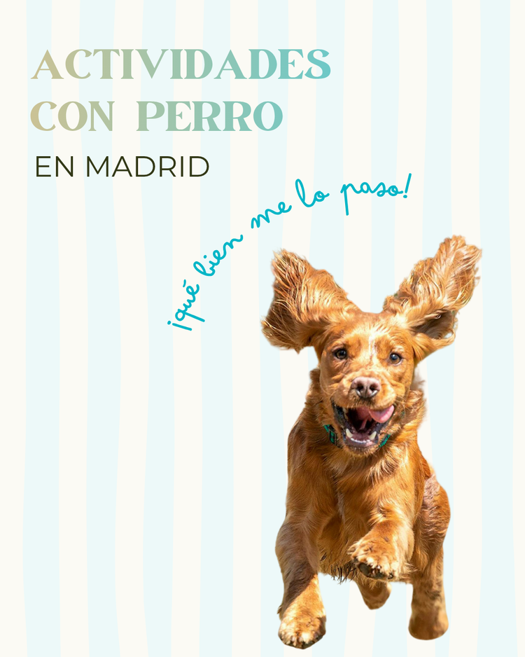 TALLERES ACTIVIDADES CON PERRO