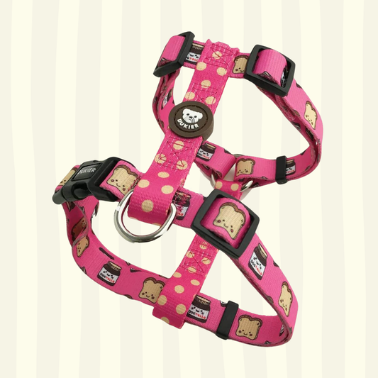 Arnés clásico colección Dogtella
