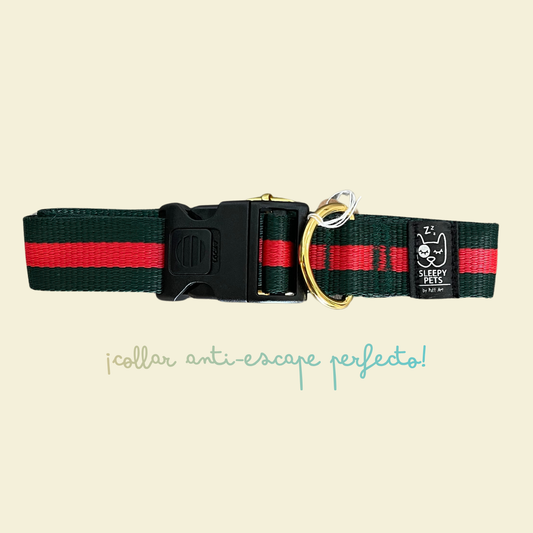 Collar nylon gucci verde-rojo herrajes dorados ancho 3cm