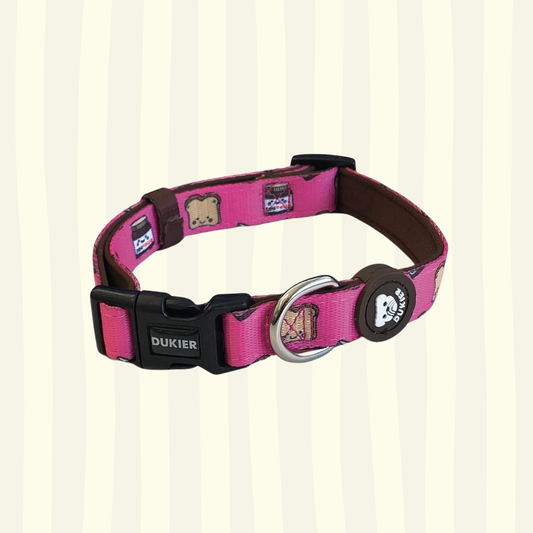 Collar clásico colección Dogtella