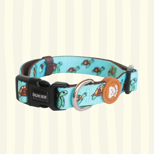 Collar clásico colección Turtle