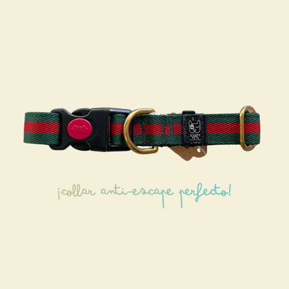 Collar nylon gucci verde-rojo con herrajes dorados ancho 2cm