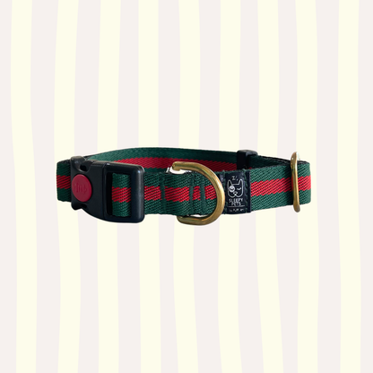 Collar nylon gucci verde-rojo con herrajes dorados ancho 2cm