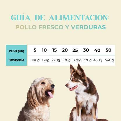 Pienso pollo fresco y vegetales 3kg