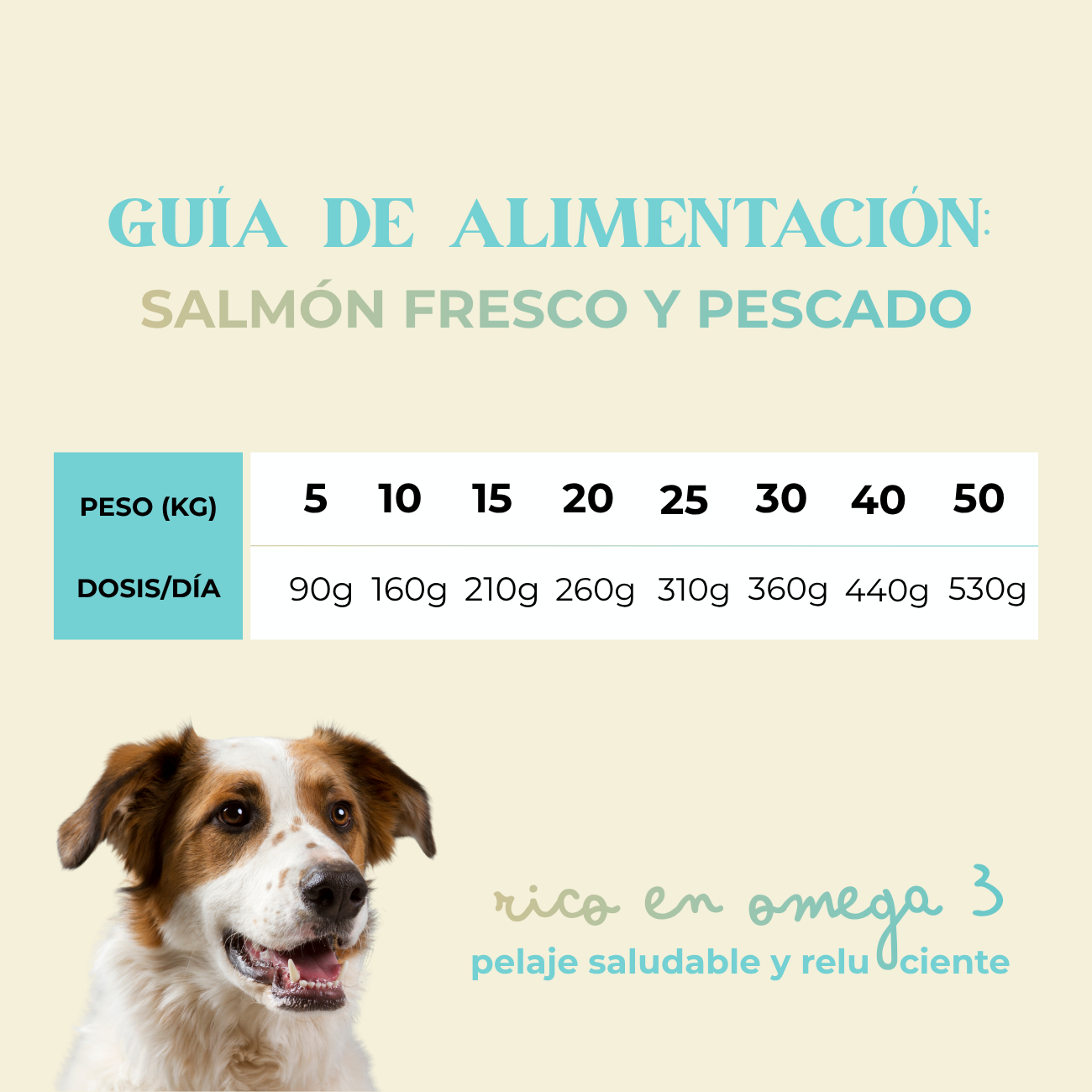 Pienso salmón fresco y pescado blanco 2kg/3kg