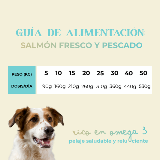 Pienso salmón fresco y pescado blanco 2kg/3kg