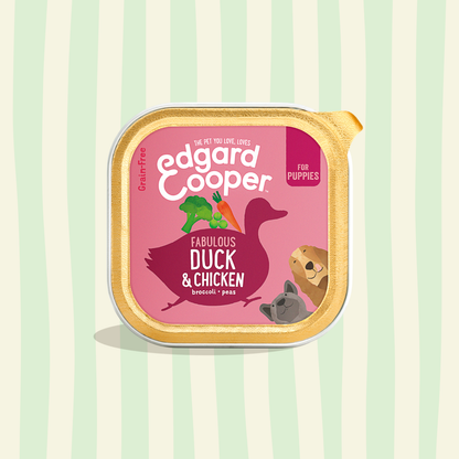 Tarrina húmeda Edgard & Cooper 150gr (varios sabores)