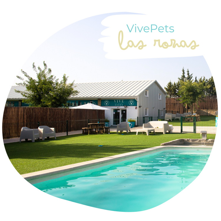 Foto da galeria de Vive Pets Resort
