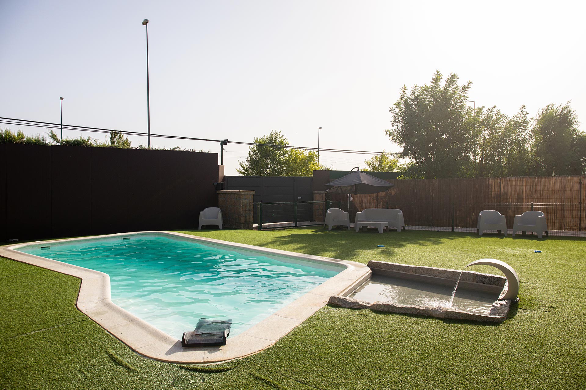 Las mejores piscinas para perros de Madrid