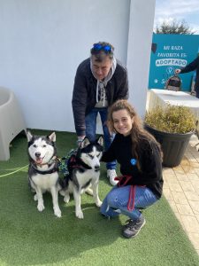 Por qué ladran los perros - Eduacion canina - Vive Pet Resort Las Rozas y San Sebastián de los Reyes