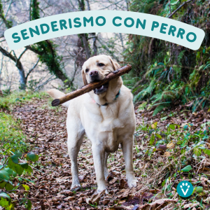 Senderismo con perro en Madrid (24 Sept. 10:00h)
