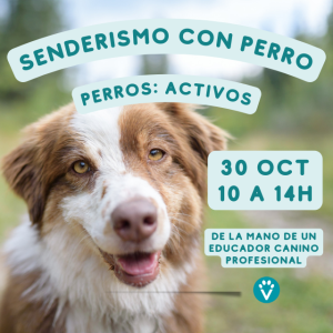 Senderismo con perro en Madrid. Perros activos. (30 Oct. 10:00h)