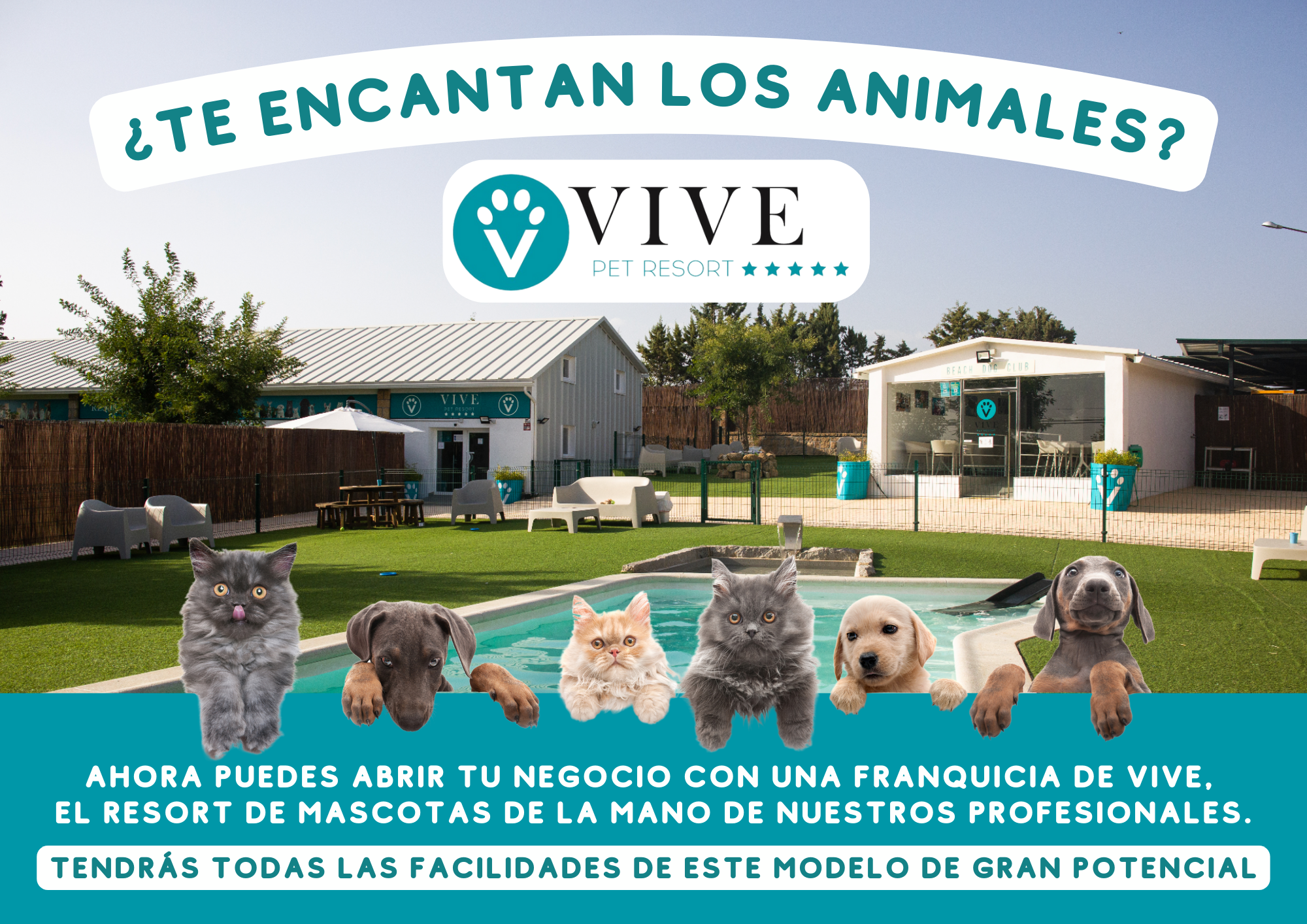 Invierte en Franquicia con animales: Vive Pet Resort - hotel canino - inversion - franquicia
