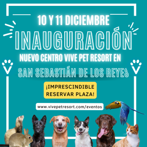 INAUGURACIÓN VIVE SANSE 10 Y 11 DICIEMBRE, ENTRADAS GRATIS