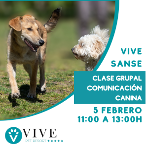 Clase Grupal Comunicación Canina (Sanse 5 Feb. 11:00h)