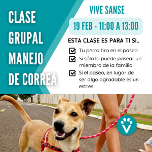 Clase Manejo de Correa (Sanse 19 Feb. 11:00h)