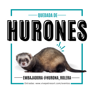 Quedada de hurones Vive Pet Resort San Sebastián de los Reyes