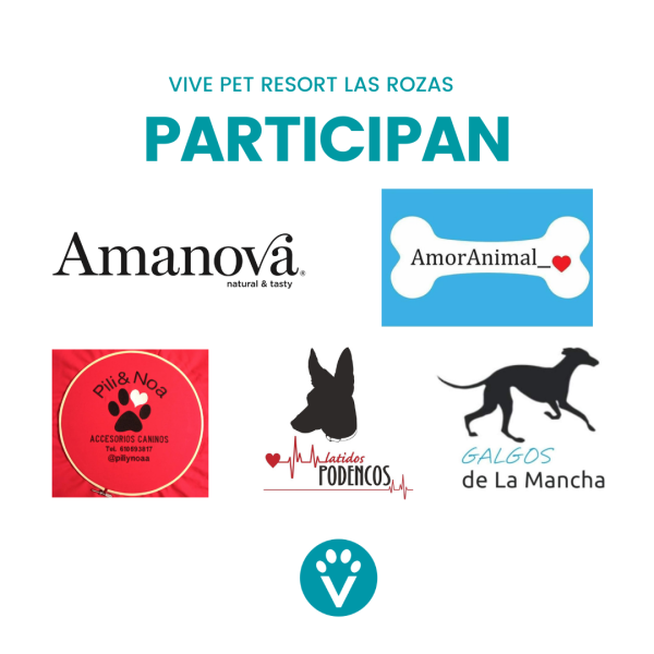 Quedada galgos podencos y pointers en Vive Pet Resort
