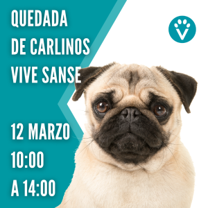 Quedada carlinos vive pet resort san sebastian de los reyes