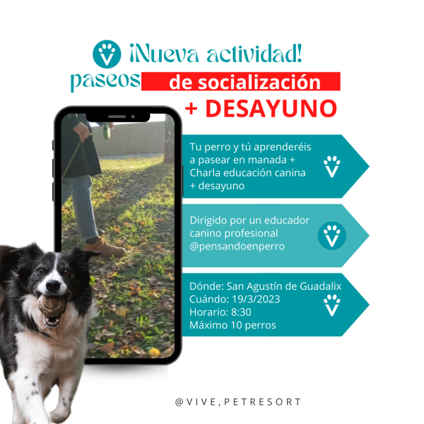 Paseo de socialización con perro en Madrid