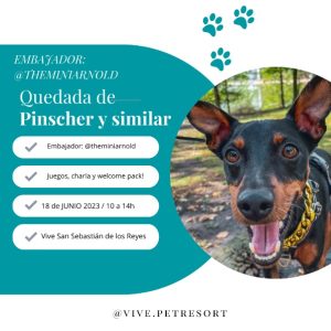 QUEDADA DE PINSCHER Y SIMILAR (Sanse 18 Jun. 10h)