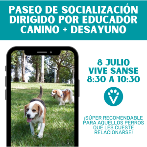 PASEOS SOCIALIZACIÓN + DESAYUNO (Sanse 8 Julio)