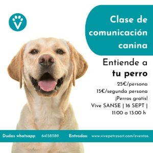 Clase De Comunicación Canina (Sanse 16 Sept. 11h)