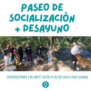 PASEOS SOCIALIZACIÓN + DESAYUNO (Sanse 16 Sept.)