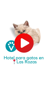 hotel para gatos en Madrid - Vive Pet Reort Las Rozas