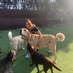 CURSO DE CUIDADOR DE ANIMALES DOMÉSTICOS VIVE PET RESORT - Guardería canina