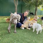 CURSO DE CUIDADOR DE ANIMALES DOMÉSTICOS VIVE PET RESORT - Guardería canina