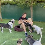 CURSO DE CUIDADOR DE ANIMALES DOMÉSTICOS VIVE PET RESORT - Guardería canina en Madrid