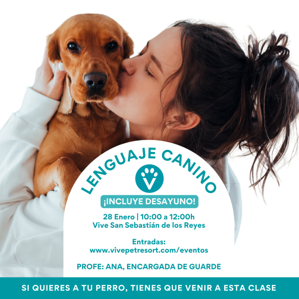 LENGUAJE CANINO - ACTIVIDADES CON PERRO EN MADRID - VIVE SANSE