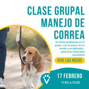 Entrada Perro Manejo de Correa (Las Rozas 17 Feb.)