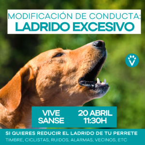 Entrada Persona Modificación de conducta: exceso de ladrido  (Sanse 20 Abril)