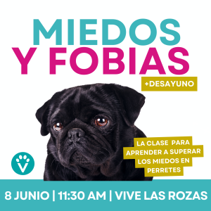 ENTRADA PERSONAS CLASE MIEDOS Y FOBIAS EN PERROS (Rozas 8 Jun.)