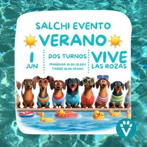 Entrada Persona Salchievento Mañana (Rozas 1 Junio)