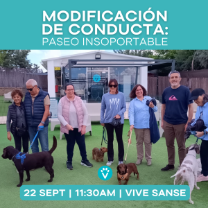 Entrada Persona Modificación Conducta: Paseo insoportable (Sanse 22 Sept.)