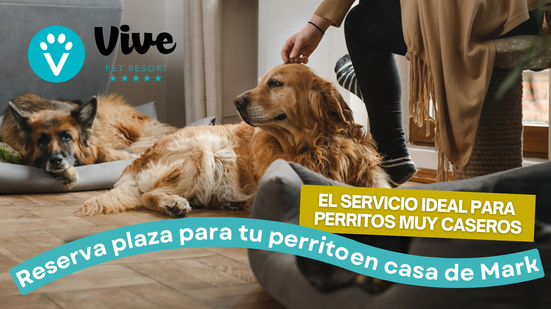 Dogsitter en Madrid - VIVE Pet Resort- Cuidado de perros en domicilio en Madrid - Cuidador de perros en Aravaca - Dogsitter en Madrid: Como en casa.png