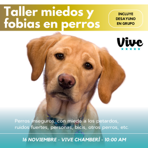 CLASE MIEDOS Y FOBIAS EN PERROS (Chamberí 16 Nov.)